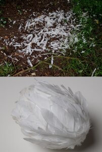 Exbury Egg, Resurrection Egg, Dove feathers 2014 - Stephen Turner
